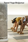 PROFORCE YOGA BLOK MANTAR YGB50