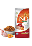 N&D Tahılsız Bıldırcınlı Bal Kabaklı Narlı Kısırlaştırılmış Kedi Maması 5 Kg