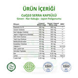 Coq 10 Kapsül (CO-ENZYME Q10 CAPSULE)