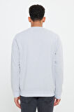 Standart Fit Normal Kesim 2 İplik Recycle Pamuklu Bisiklet Yaka Sweatshirt