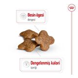 Royal Canin  8 Yaş ve Üzeri Küçük Irklar için Kuru Köpek Maması 2Kg