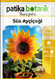 50 Adet Süs Ayçiçeği (Helianthus Debilis) Çiçek Tohumu 