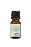 Nane Uçucu Yağı 10ML