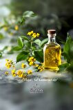 Sarı Kantaron Yağı %100 Saf Bitkisel Yağ 50 ml. (St John's Wort Oil)