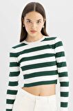 DeFacto Coool Slim Fit Çizgili Bisiklet Yaka Kazak X6888AZ24WNGN311