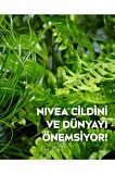 Nivea 3'ü 1 Arada Makyaj Temizleme Mendili Kuru Cilt 25 Adet