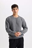 DeFacto Gri Regular Fit Bisiklet Yaka Jakarlı Sweatshirt D5392AX24AUGR371