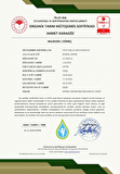 2024/25 500 ML Erken Hasat Natürel Sızma Zeytinyağı Damak Sefası Soğuk Sıkım Filtresiz 0,2 Asit