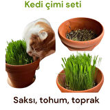 Kedi çimi ; doğal arpa buhday tohumu toprak ve saksı ile ekime hazır set.