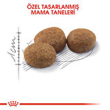Royal Canin Sterilised 37 Kısırlaştırılmış Yetişkin Kedi Maması 15 KG