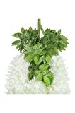 Yapay Sarkan Akasya Çiçeği 100 Cm Beyaz 12 Li Paket