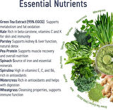 Applied Nutrition Critical Greens Superfood Blend for Gut Health Energy and Immune Support 30 Servis