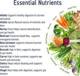 Applied Nutrition Critical Greens Superfood Blend for Gut Health Energy and Immune Support 30 Servis
