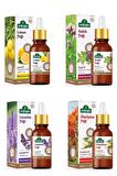 Arifoğlu Lavanta Yağı + Limon Yağı + Kekik Yağı + Okaliptus Yağı 4 x 20 ml