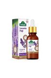 Arifoğlu Lavanta Yağı + Limon Yağı + Kekik Yağı + Okaliptus Yağı 4 X 20 Ml