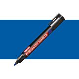 Bigpoint Permanent Marker Kalem Yuvarlak Uç Mavi