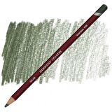 Derwent Pastel Pencil (Pastel Boya Kalemi) Ionian Green (P500)