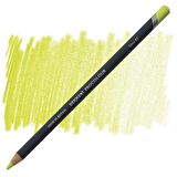 Derwent Procolour Pencil (Kuru Boya Kalemi) Lime (01)
