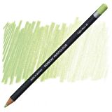Derwent Procolour Pencil (Kuru Boya Kalemi) Light Moss (45)