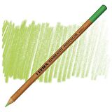 LYRA Rembrandt Polycolor Prof. Kuru Boya Kalemi Light Green 71