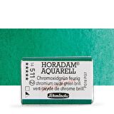 Schmincke Horadam Aquarell Tam Tablet Sulu Boya Chr. Oxide Green Bril. 511 S.2