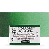 Schmincke Horadam Aquarell Tam Tablet Sulu Boya Permanent Green Olive 534 S.2