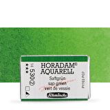 Schmincke Horadam Aquarell Tam Tablet Sulu Boya Sap Green 530 S.2