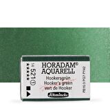 Schmincke Horadam Aquarell Tam Tablet Sulu Boya Hooker's Green 521 S.1 