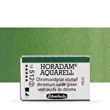 Schmincke Horadam Aquarell Tam Tablet Sulu Boya Chromium Oxide Green 512 S.2