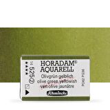 Schmincke Horadam Aquarell Tam Tablet Sulu Boya Olive Green Yellowish 525 S.2