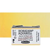 Schmincke Horadam Aquarell Tam Tablet Sulu Boya Jaune Brilliant Dark 221 S.2