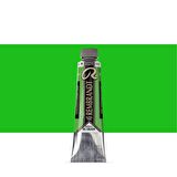 Talens Rembrandt Yağlı Boya 40ml Permanent Green Light 618 S.3