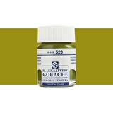 Talens Guaj 16ml Olive Green 620