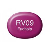 Copic Sketch Marker Kalemi RV09