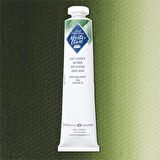 ST. PETERSBURG MASTER CLASS YAĞLI BOYA 46ML S1 SAP GREEN