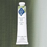 ST. PETERSBURG MASTER CLASS YAĞLI BOYA 46ML S2 GREEN TAVUSH