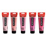 Talens Amsterdam Akrilik Boya 120ml 5'li Set Pembe Tonu Renkleri
