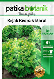 1500 Adet Yerli Ata Kışlık Kıvırcık Marul Tohumu