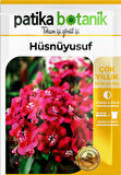100 Adet Hüsnüyusuf (Dianthus Barbatus L.) Çiçek Tohumu 