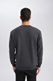 DeFacto Regular Fit Bisiklet Yaka Jakarlı Sweatshirt D5394AX24AUAR84