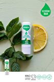 Siveno %100 Doğal Dudak Koruyucu Nane & Limon Bitkisel Lip Balm Krem Nemlendirici Parlatıcı Onarıcı 6 gr