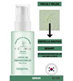 Dermal Cica x Mide Serum Centella Asiatica ve Seramid Özlü Serum 50 ml