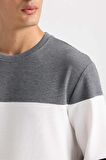 DeFacto Regular Fit Bisiklet Yaka Jakarlı Sweatshirt D5393AX24AUBK27