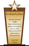 En başarılı Çalışan Plaketi Ahşap Mdf Gold Levhaya Baskılı ,Kişiye Özel İsim Baskısı Yapılabilir