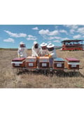 Doğal Kır Çiçeği Balı 850 Gr
