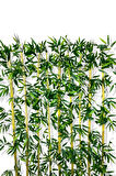 BAMBU SEPERATÖR 180 CM 9 ADET BAMBU 100 CM ANTRASİT SAKSI