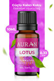 Lotus Esansiyel Uçucu Koku Yağı Buhurdanlık Yağı Difüzör Esansı Hobi Esans Ortam Oda Kokusu 10ml