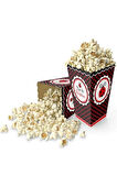 Uğur Böceği Mısır Kutusu Parti Kutlama &Uğur Böceği Temalı Doğum Günü Popcorn Kutusu 8'li