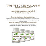 Maytake Kapsül (MAİTAKE MUSHROOM CAPSULE)