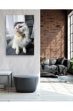 Sarı Papyonlu Beyaz Kedi Cam Tablo